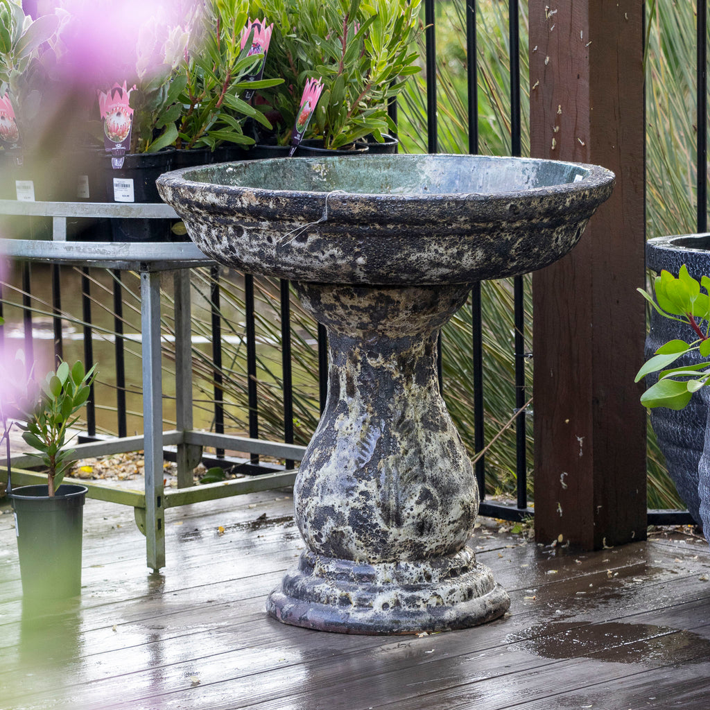 Birdbath -