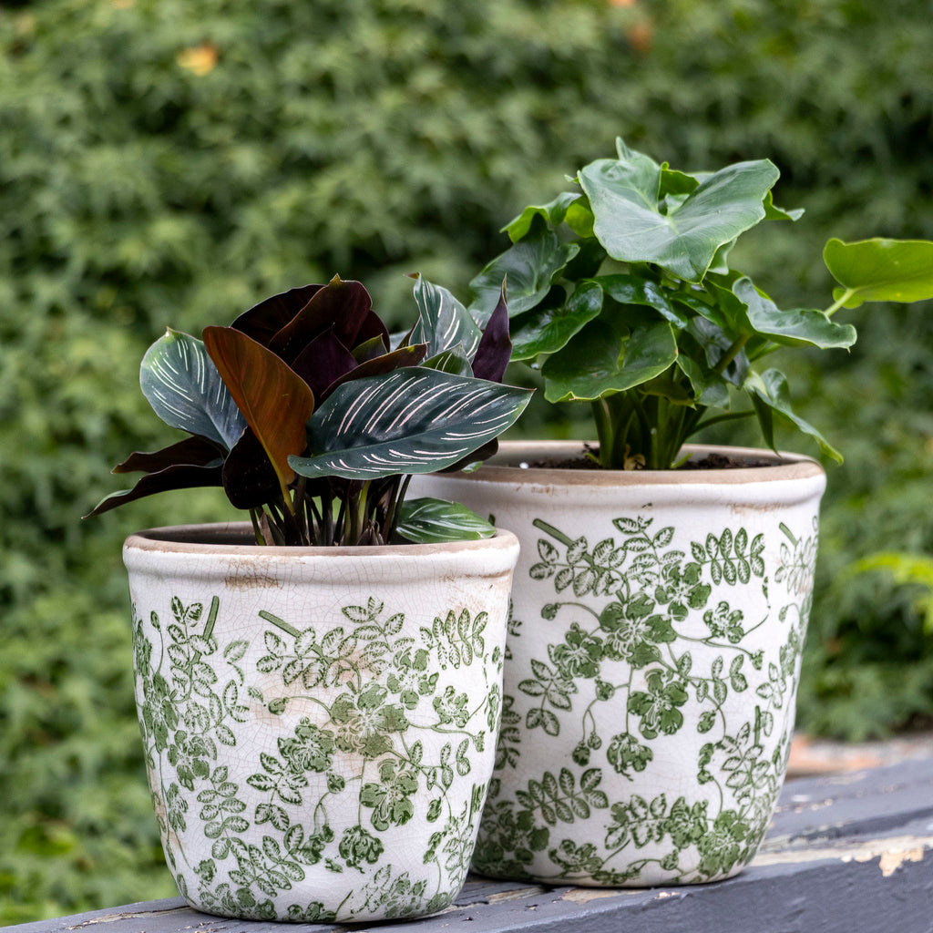 Botanical Herb Pot -