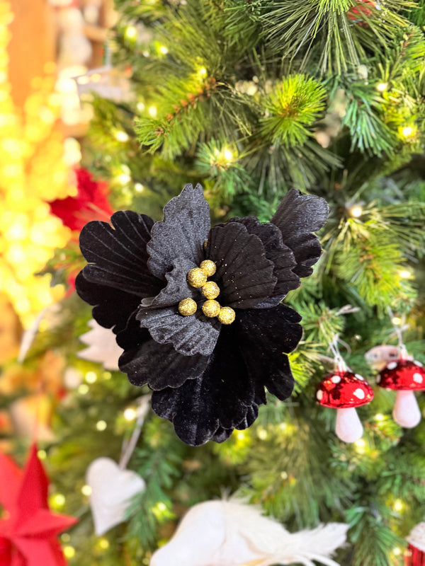 Black Poinsettia Stem