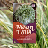 Carex Moon Falls - 14cm Pot