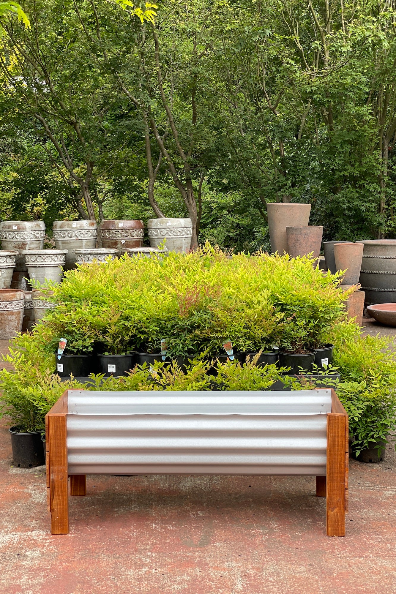 Peter Planter M