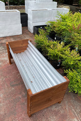 Peter Planter M