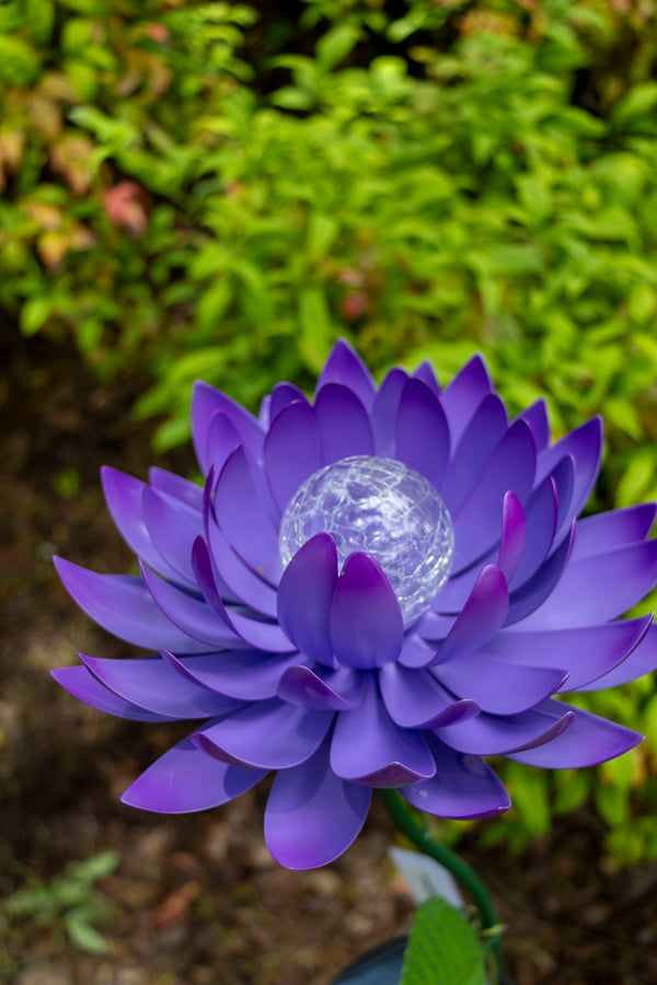 Purple Lotus Solar Light