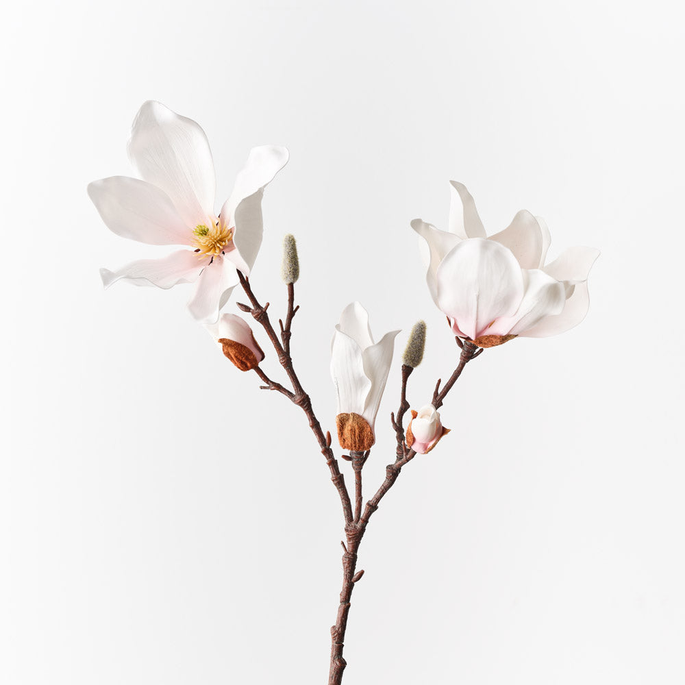 Magnolia Japanese Spray - Light Pink