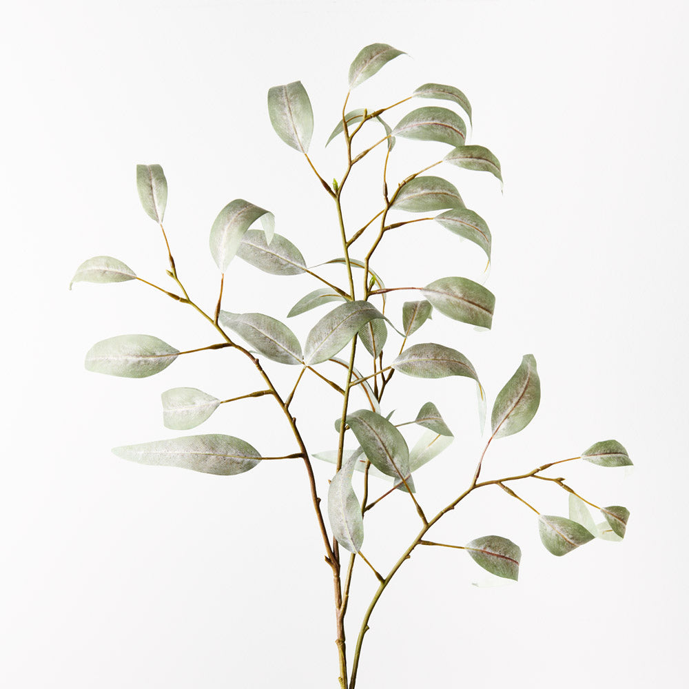 Eucalyptus Long Leaf Spray - Grey Green