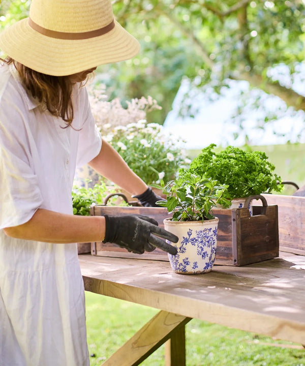 Floral Herb Pot - Blue