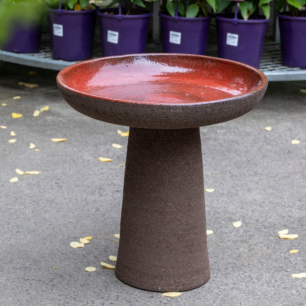 Birdbath - Mondo Graphite Red Wine