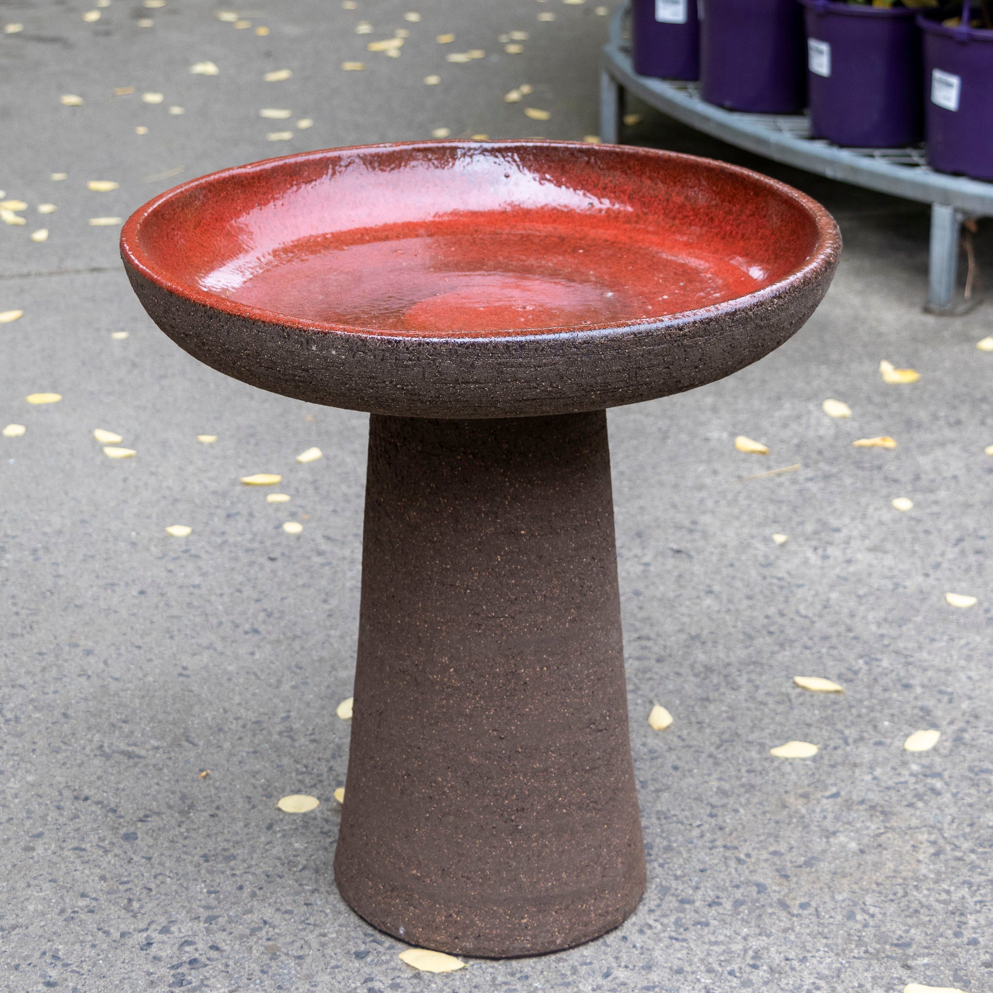 Birdbath - Mondo Graphite Red Wine