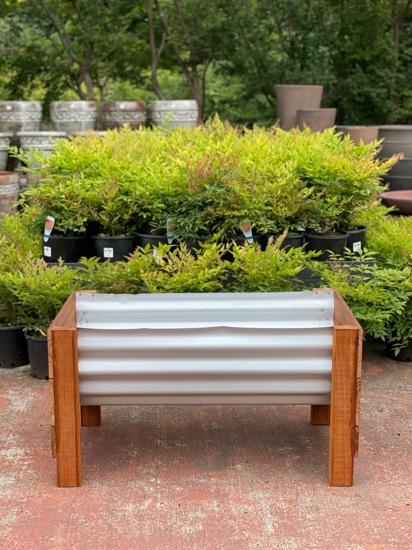 Peter Planter S
