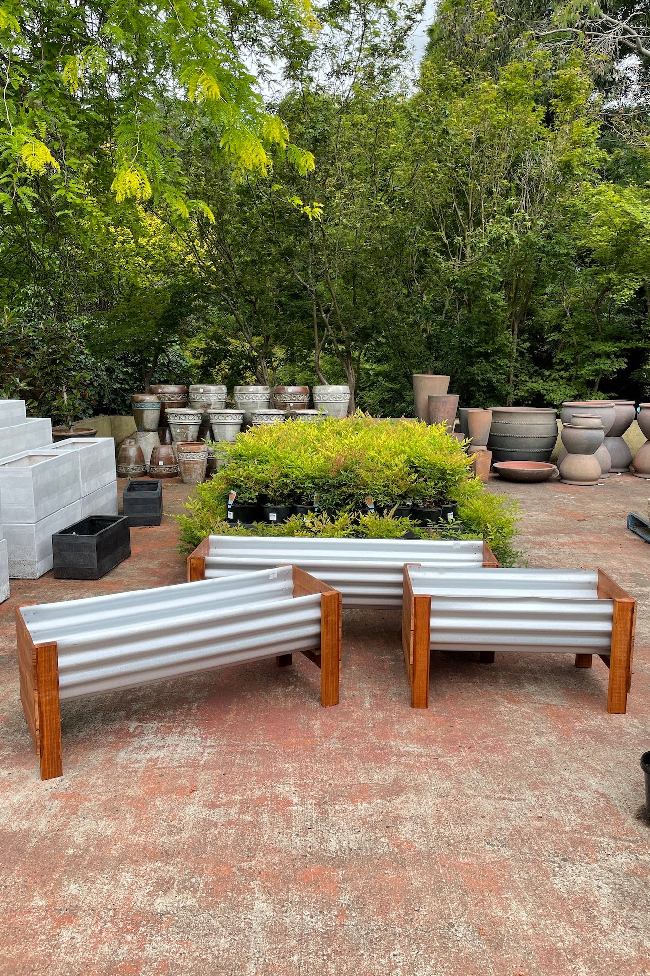 Peter Planter S