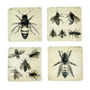 Bee Coaster - 4 Pack