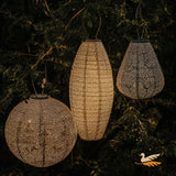 Lumiz Celestial Trio