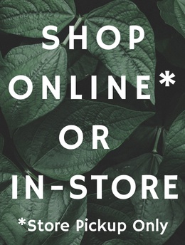 Raspberry Chilcotin - 15cm Pot β Warran Glen Garden Centre & Cafe