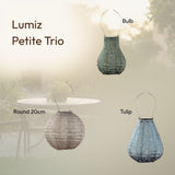 Lumiz Petite Trio