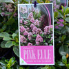 Escallonia Pink Elle - 14cm Pot