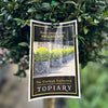 Buxus Standard - 33cm Pot