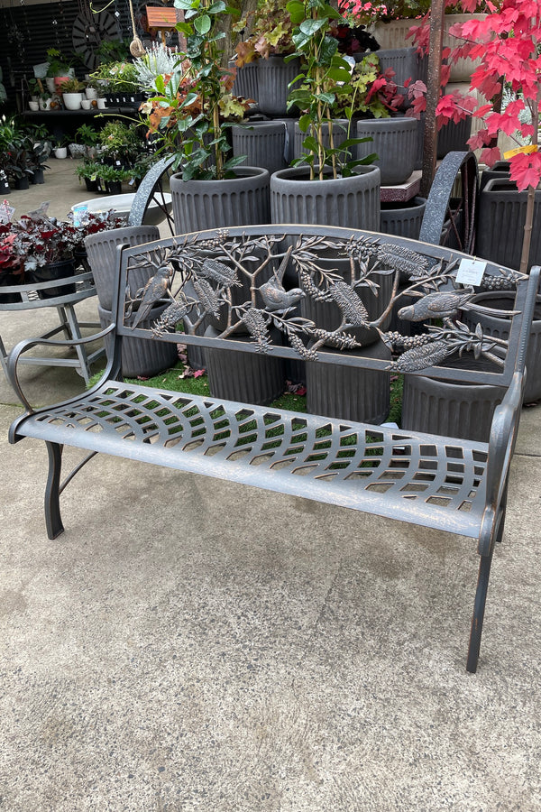 Cast Iron Bench - Rosella & Bottlebrush