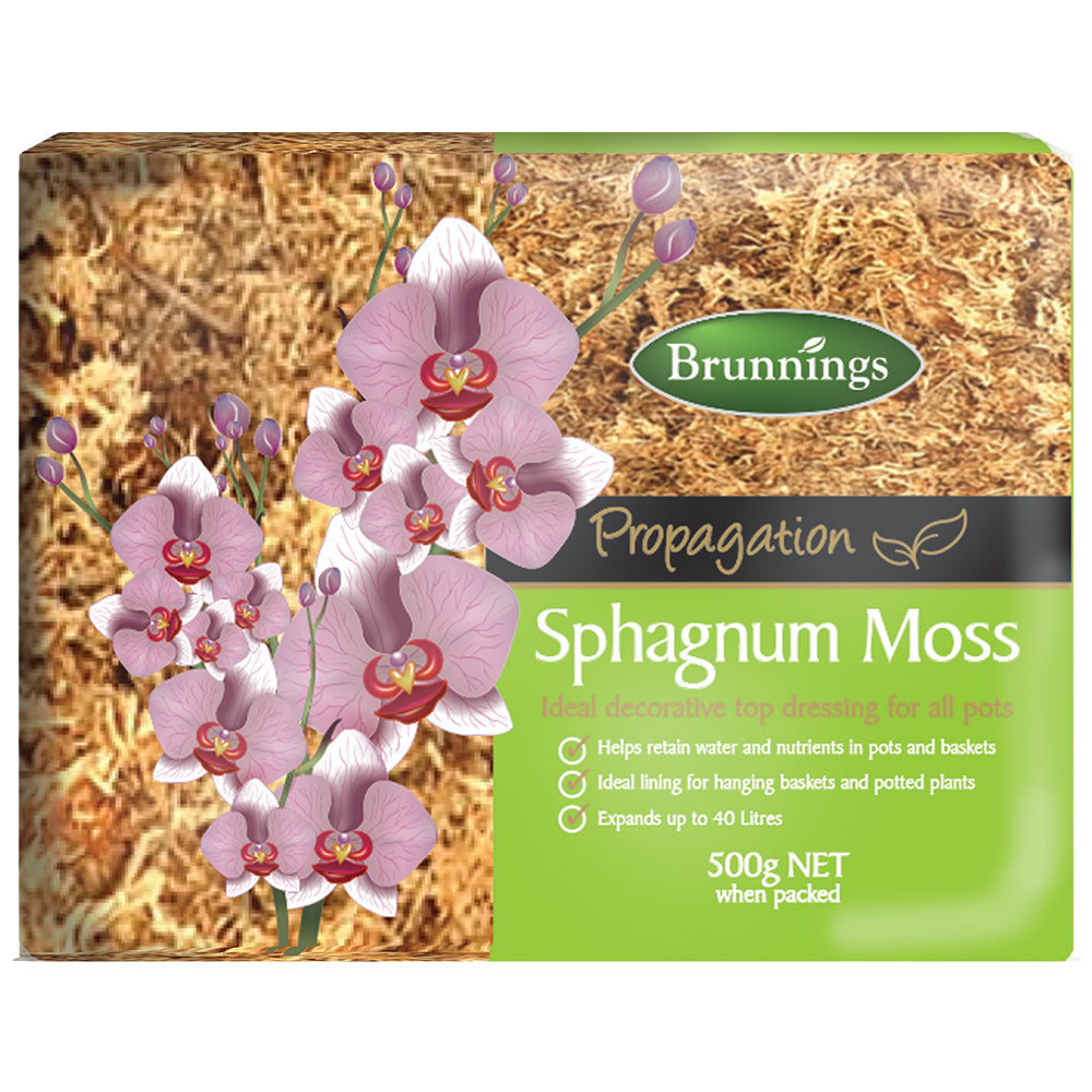 Large Sphagnum Moss 500g