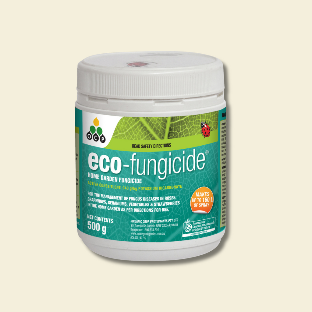 Eco Fungicide 500g