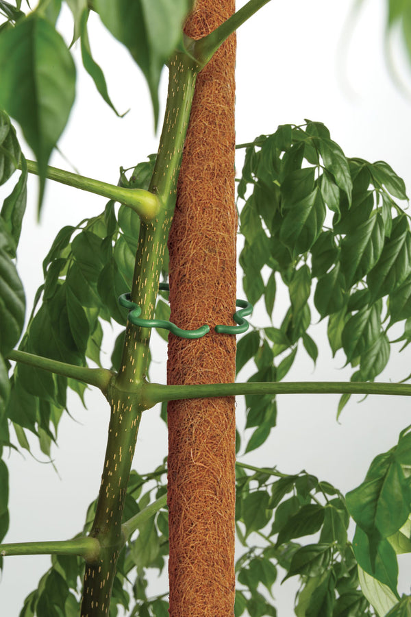 Coco Plant Pole 45cm