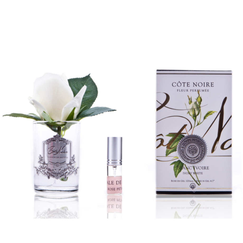 Rose Bud Ivory White - Clear Glass
