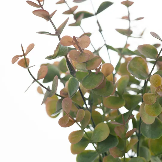 Eucalyptus Bush - Olive Green 32cm