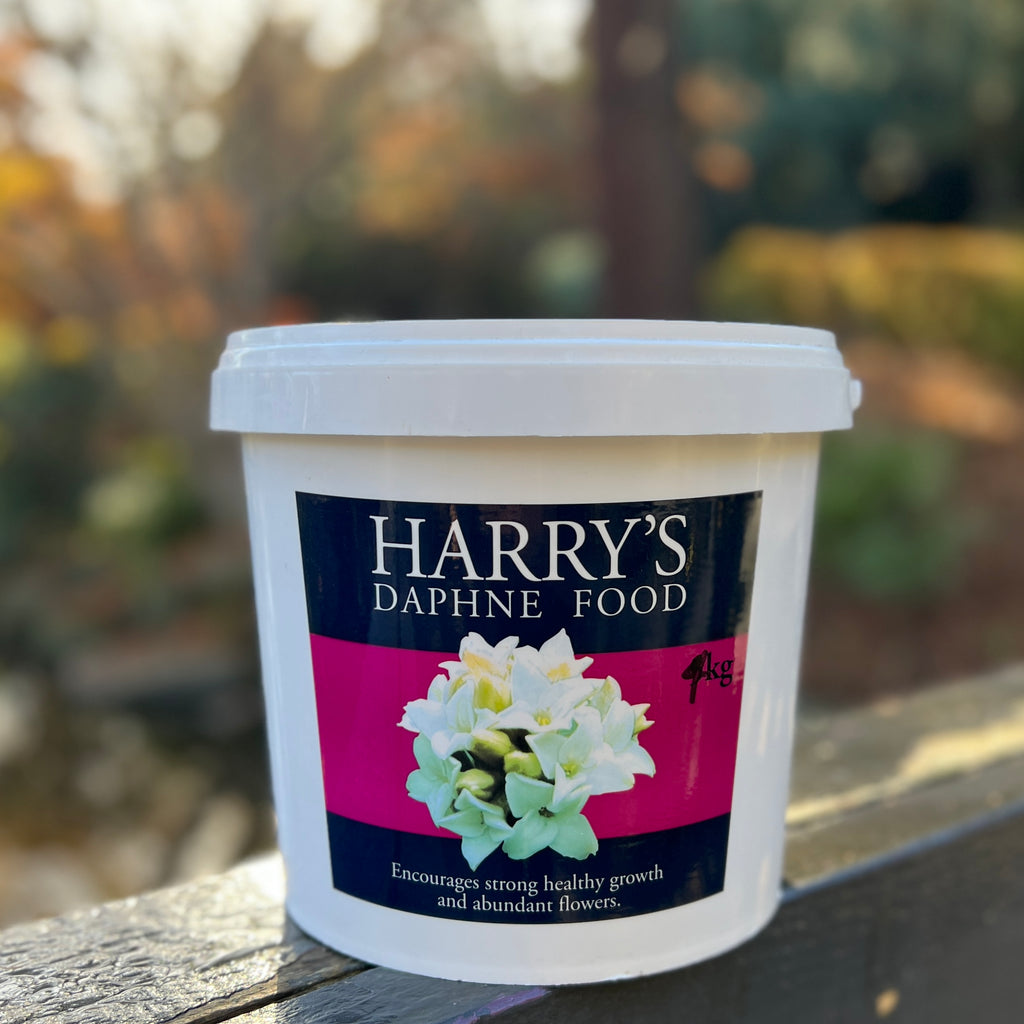 Harry's Daphne Food - 4kg