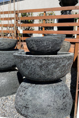 Fossil Portsea Bowl - Lava