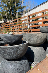 Fossil Portsea Bowl - Lava