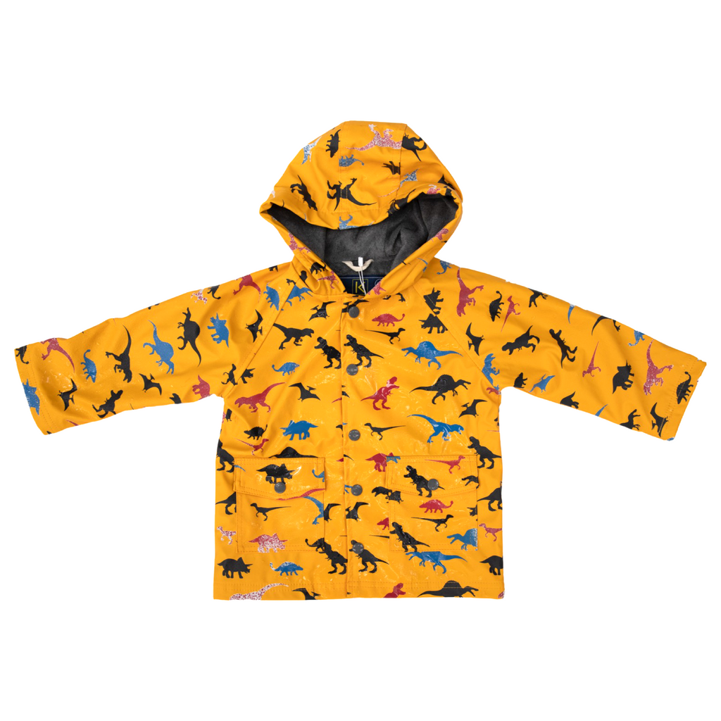 Dinosaur rain coat on sale