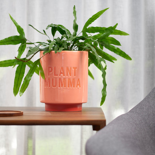Ceramic Planter - Plant Mumma