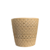 Argyle Cone Coffee