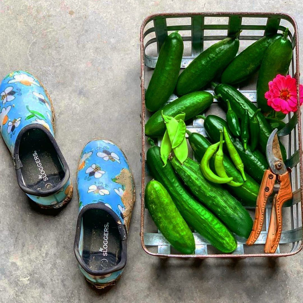 Sloggers splash shoes shop