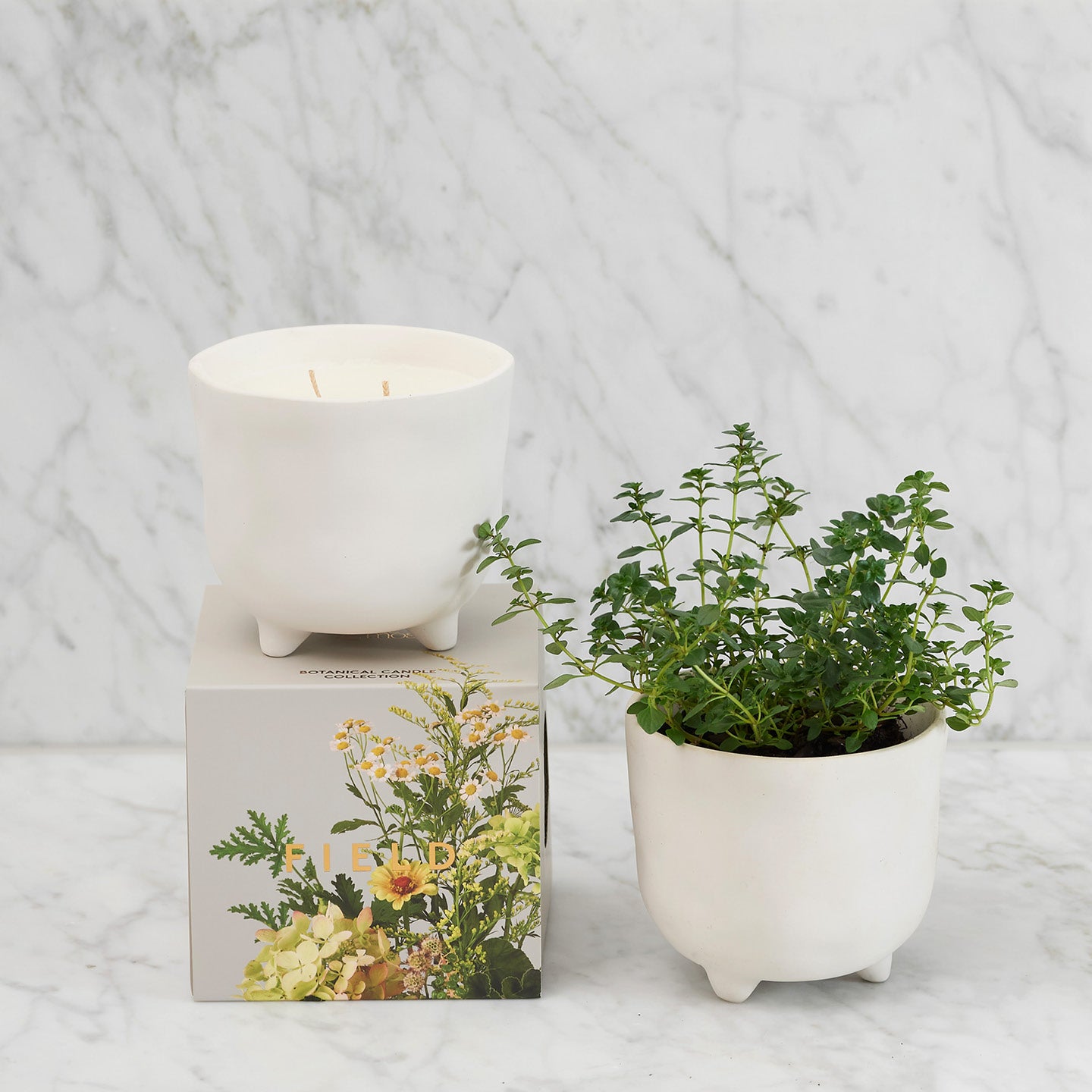 Botanical Candle - Field