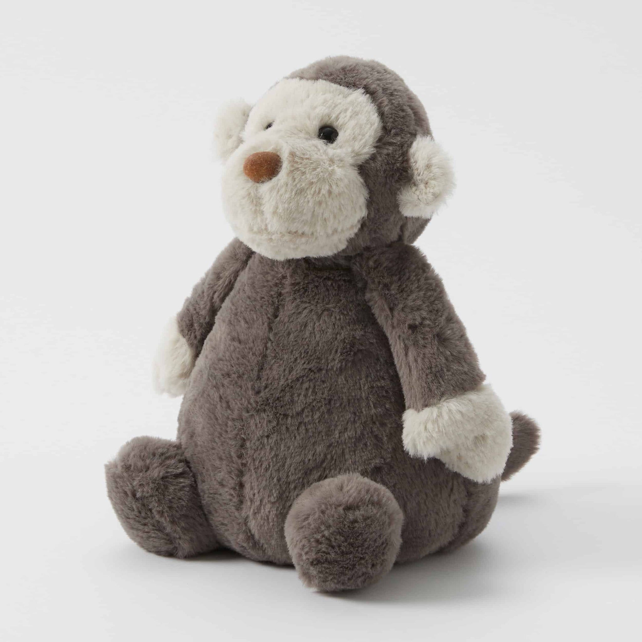Jojo The Monkey