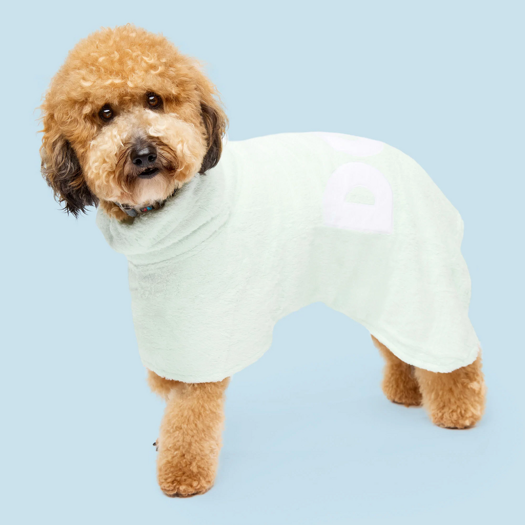 DOG - Poncho Towel Mint