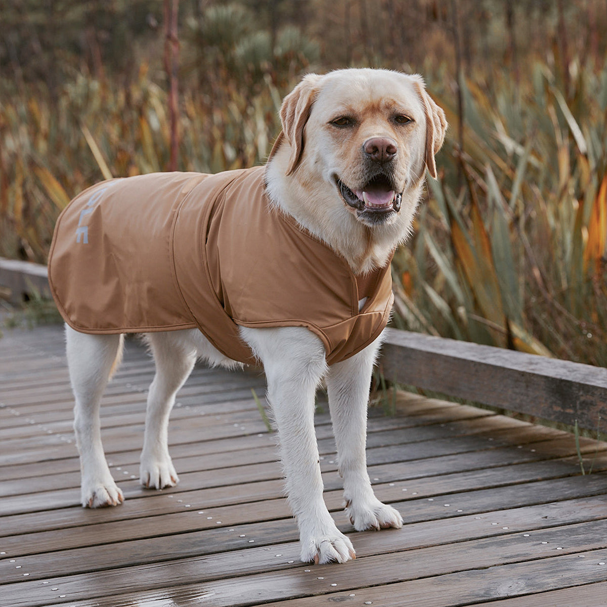 Ruff Jacket - Tan