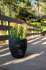 Montague Egg - Pebble Black