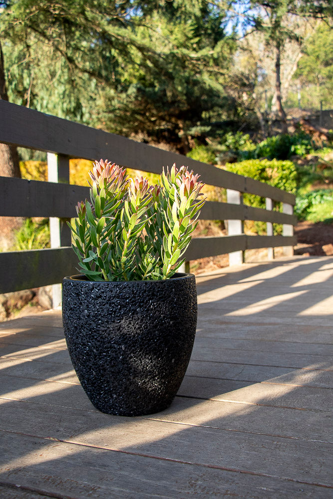 Montague Egg - Pebble Black