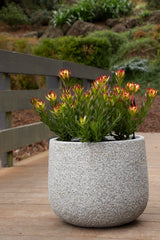 Odyssey Drum - Light Grey