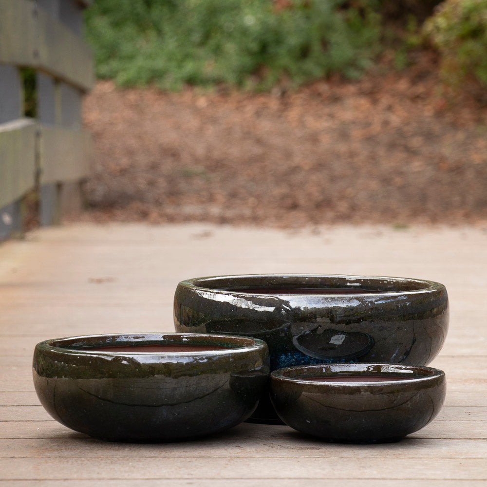 Succulent Bowl - Moss Green