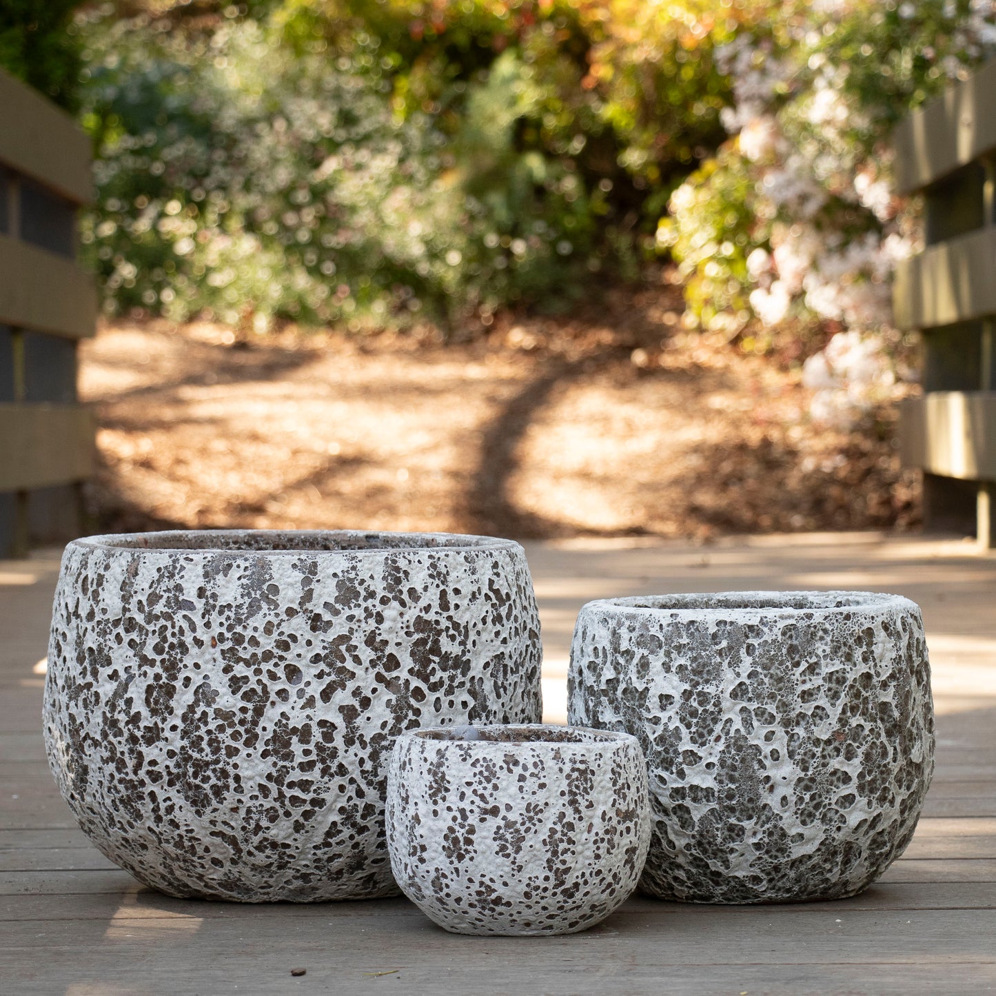 Gorgeia Mini Planter - White Coral
