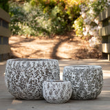 Gorgeia Mini Planter - White Coral
