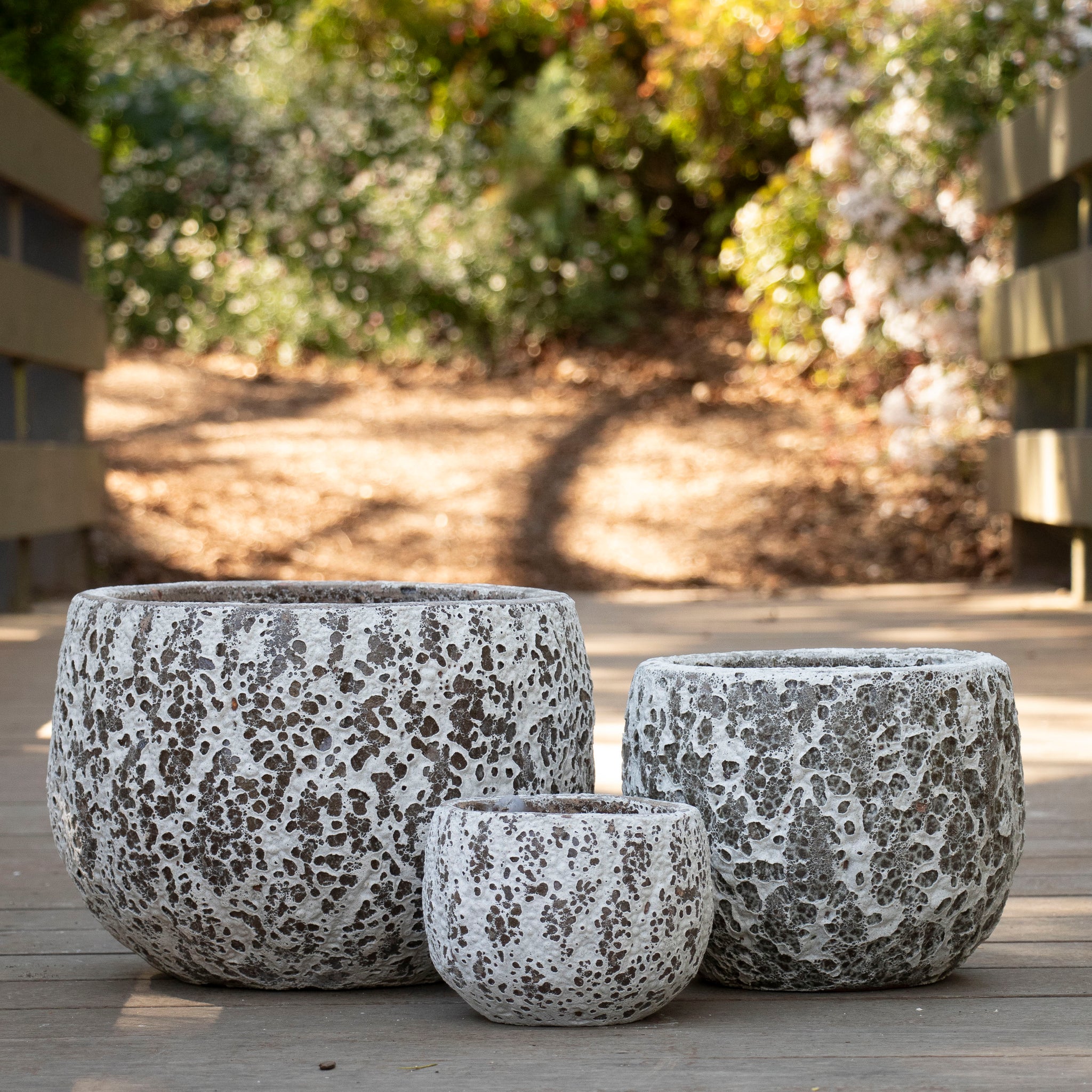 Gorgeia Mini Planter - White Coral