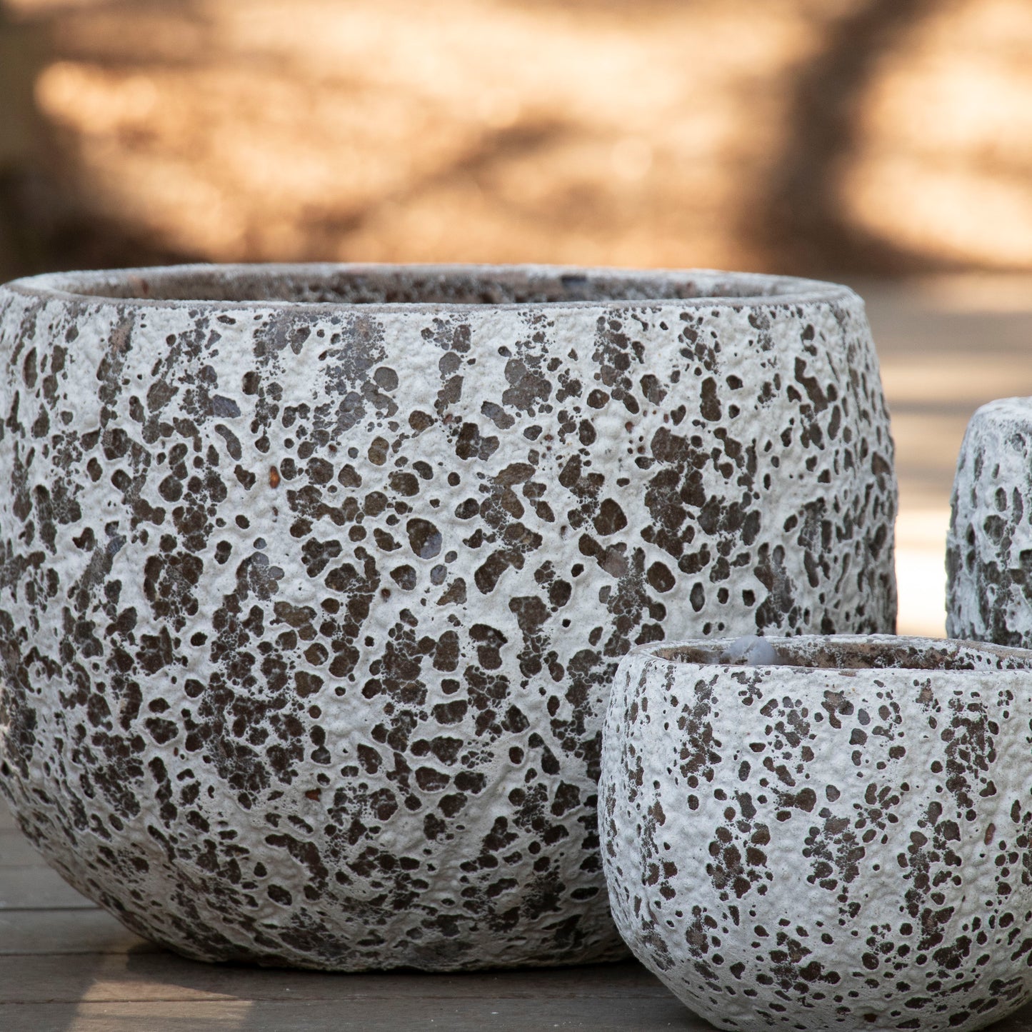 Gorgeia Mini Planter - White Coral