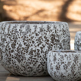 Gorgeia Mini Planter - White Coral