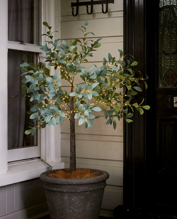 Light-up olive tree medium indoor decor