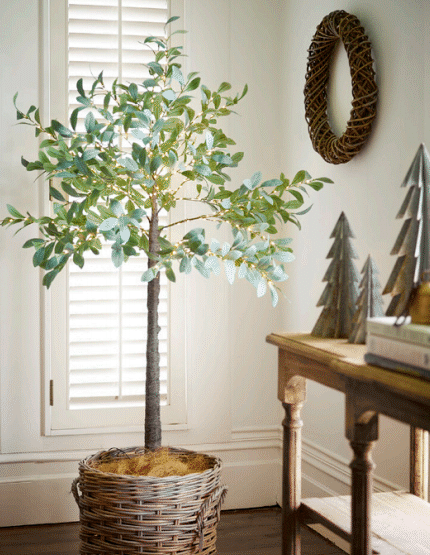 Light Up Olive Tree Medium