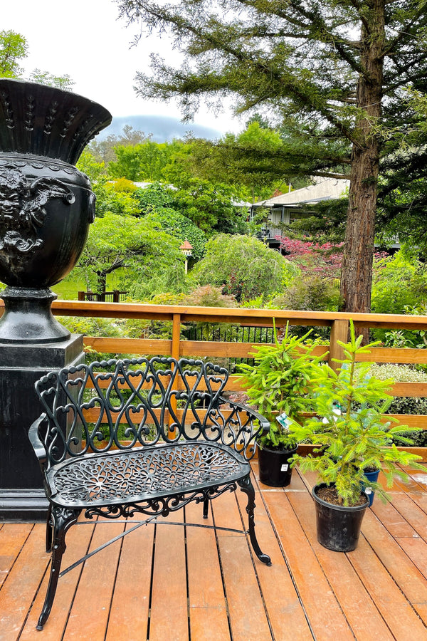 Scroll Lovers Seat Double - Black