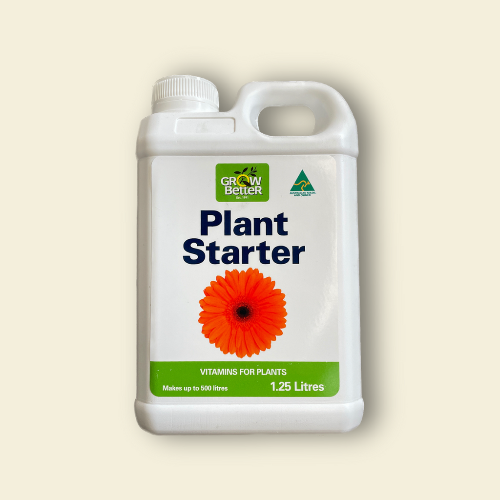 Plant Starter - 1.25L